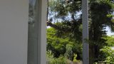 _DSC8025